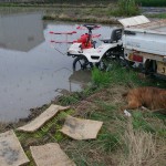 2015年の田植えおわりました