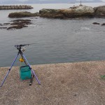 アオリイカ狙いで田ノ浦漁港