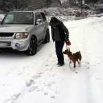 ボクサー犬サスケの雪遊びと龍穴神社にお亀の湯