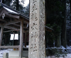 ボクサー犬サスケの雪遊びと龍穴神社にお亀の湯