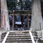 ボクサー犬サスケの雪遊びと龍穴神社にお亀の湯