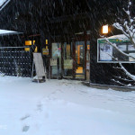 ボクサー犬サスケの雪遊びと龍穴神社にお亀の湯