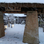 ボクサー犬サスケの雪遊びと龍穴神社にお亀の湯