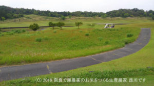 幼なじみとピートダイに挑戦 | 三重県伊賀市のセントレイクスゴルフ倶楽部