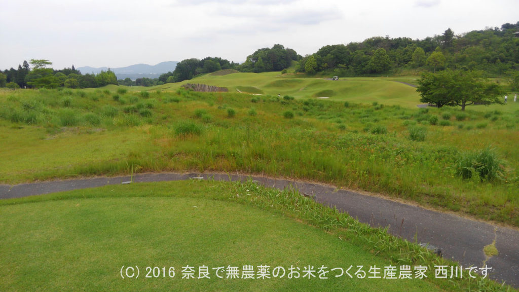 幼なじみとピート・ダイに挑戦 | 三重県伊賀市のセントレイクスゴルフ倶楽部