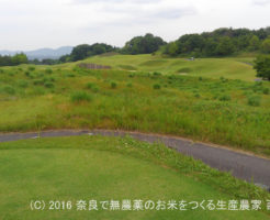 幼なじみとピートダイに挑戦 | 三重県伊賀市のセントレイクスゴルフ倶楽部