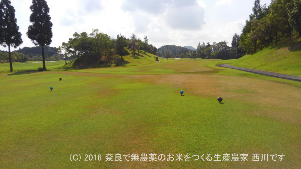 幼なじみとゴルフ旅行 | 近鉄賢島カンツリークラブ＆一志ゴルフ倶楽部