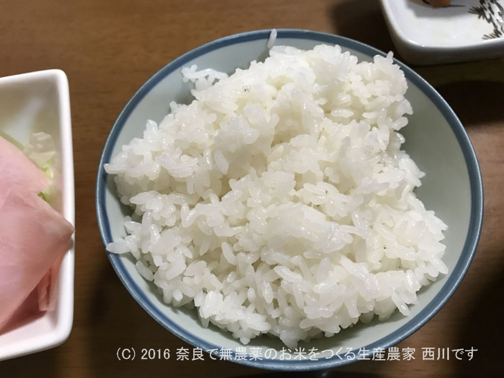 2016年産への字で作ったヒノヒカリ米 | 今年の新米を食べてみた