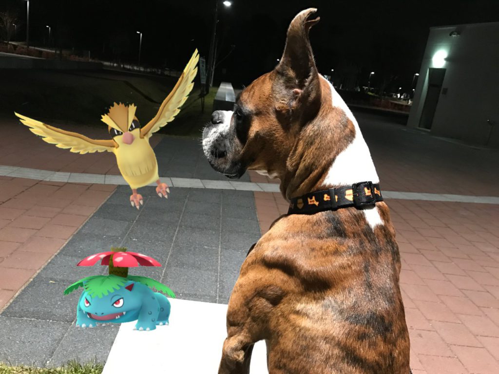 サスケとGOでポケモンGO