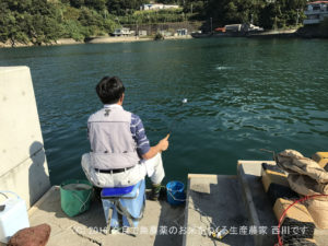 幼なじみと釣り | 和歌山県海南市 塩津漁港でチヌ、アオリイカ、タチウオ