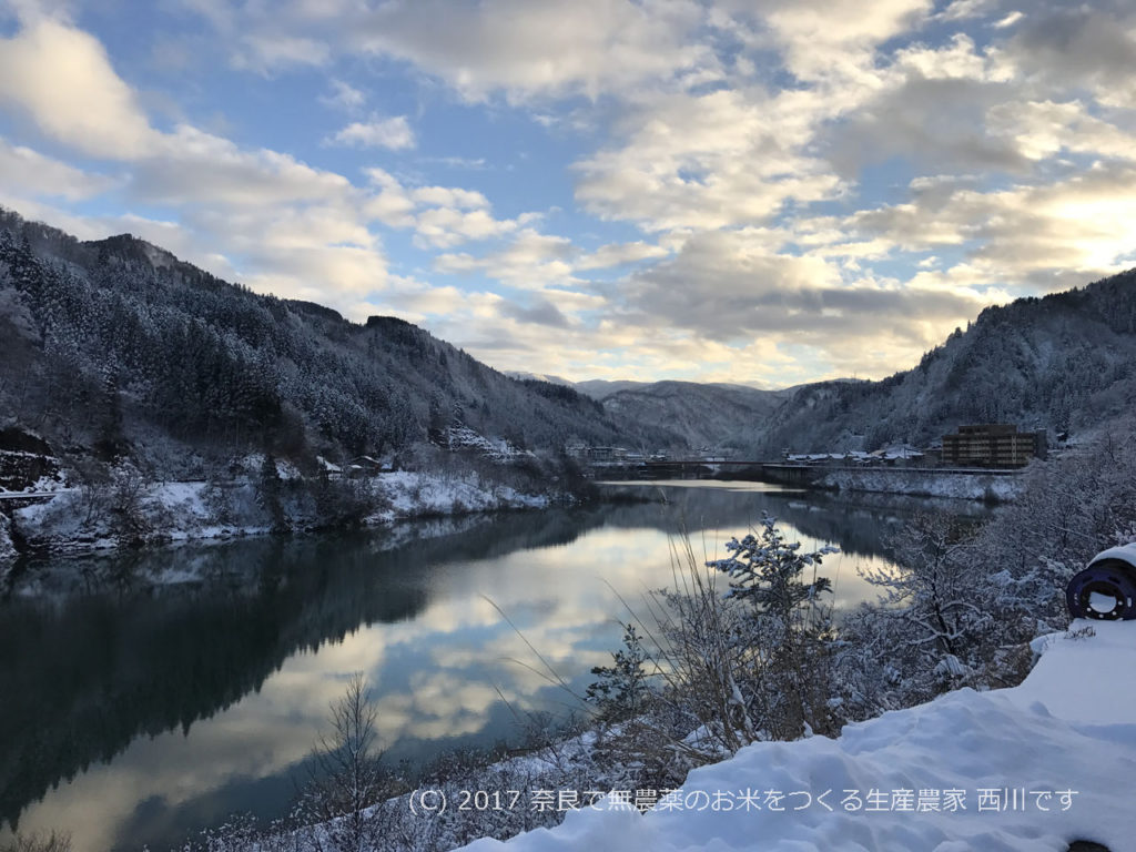 ペットと泊まれる山懐の温泉宿 | 石川県 白峰温泉の白山苑さん