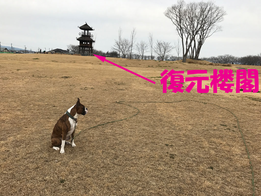 唐古・鍵遺跡の復元楼閣