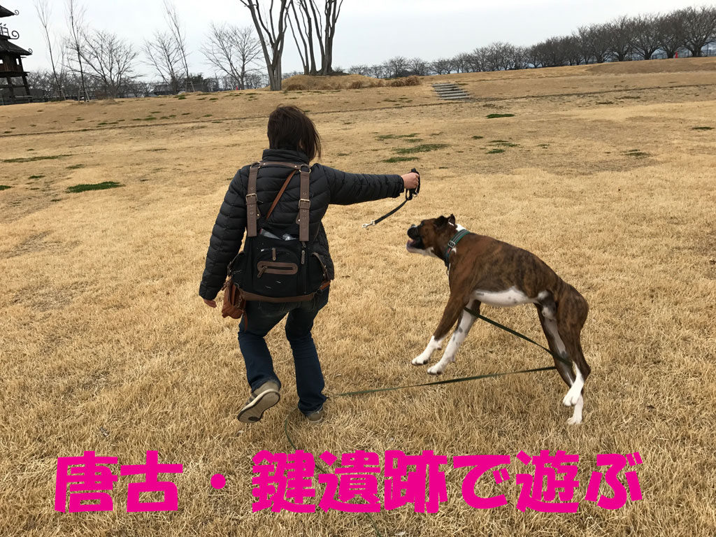 唐古・鍵遺跡であそぶ