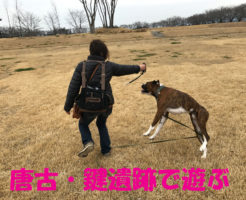 唐古・鍵遺跡であそぶ