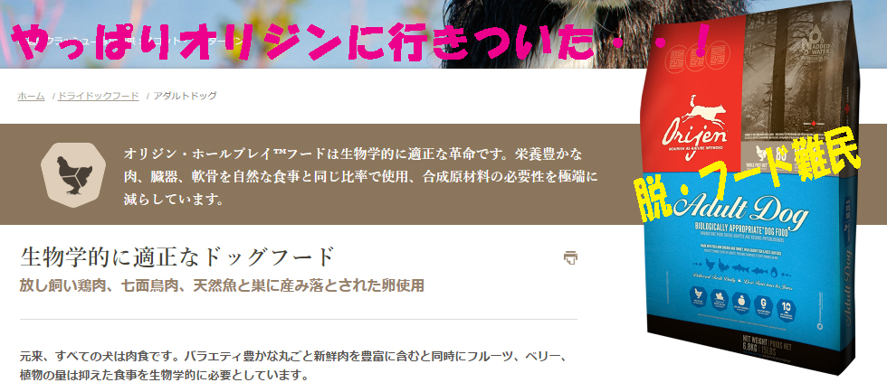 フード難民から解放された・・かな？