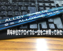 興味本位でアロイブルー空を二本買ってみた