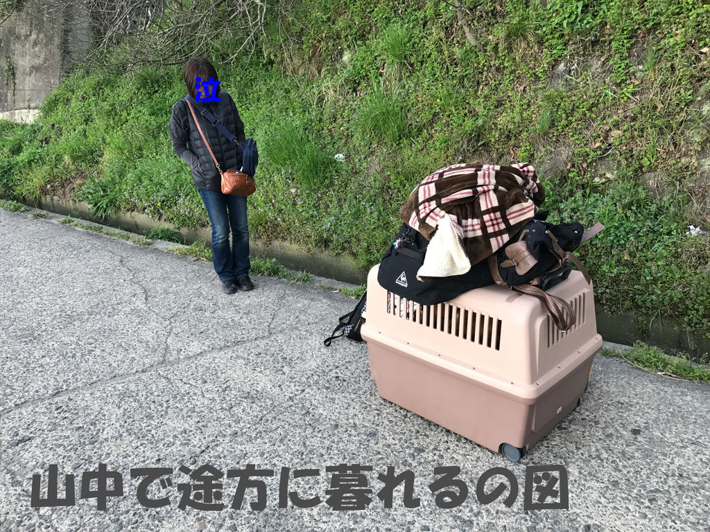 お母さんと途方に暮れる