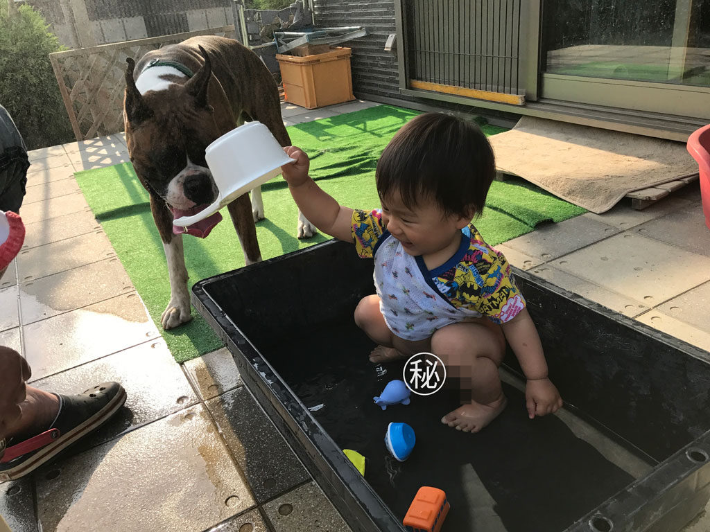 マイナス４度の涼しさ | 微妙に涼しい天理ダム風致公園へ