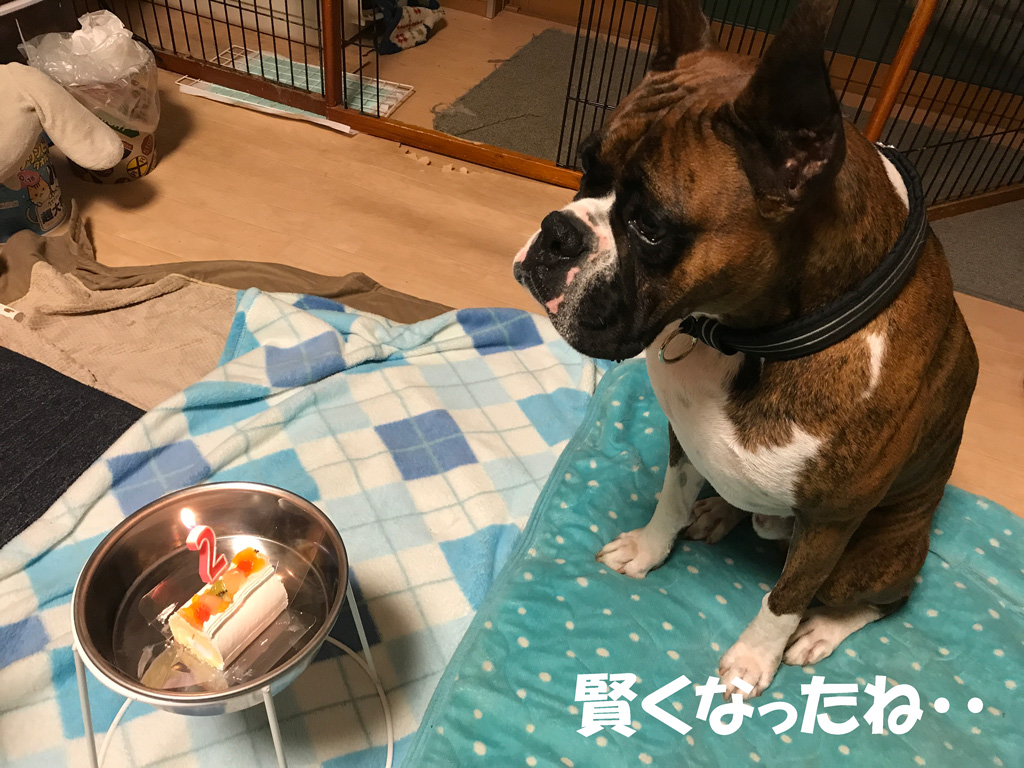二歳の誕生日 | Happy Birthday SASUKE