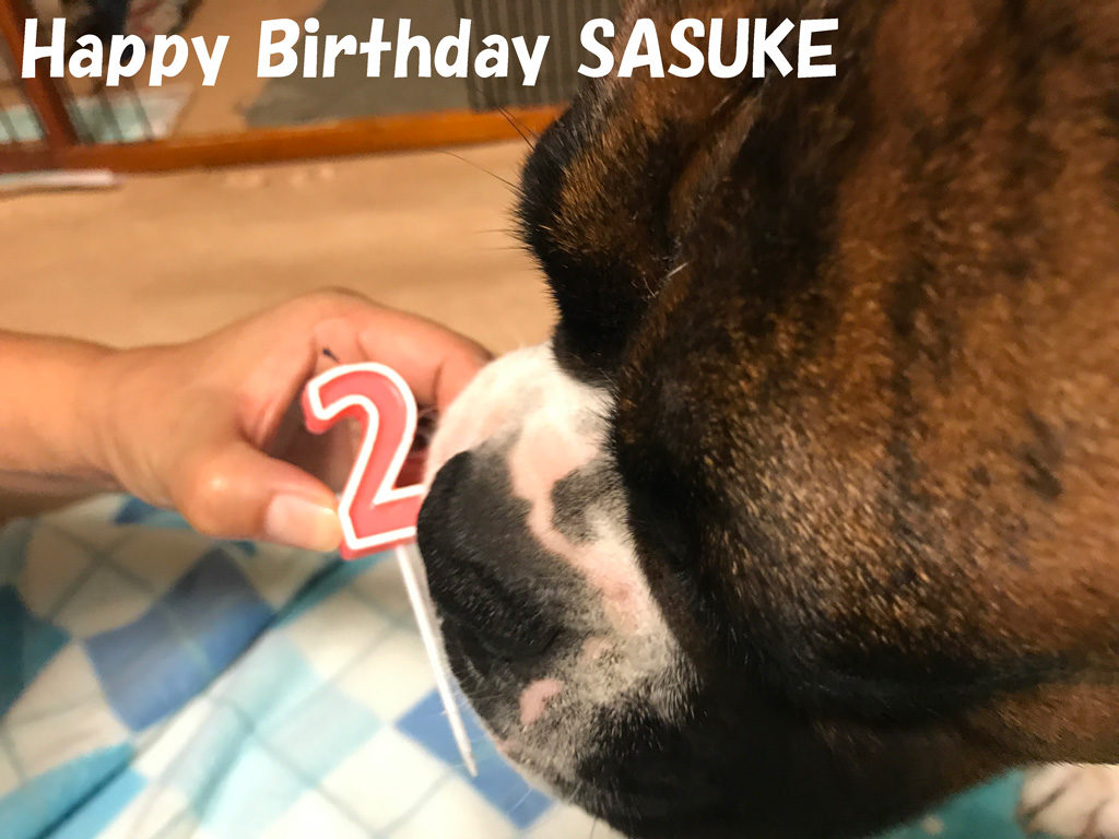 二歳の誕生日 | Happy Birthday SASUKE