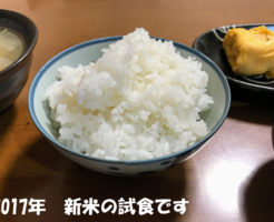 新米の試食をしました