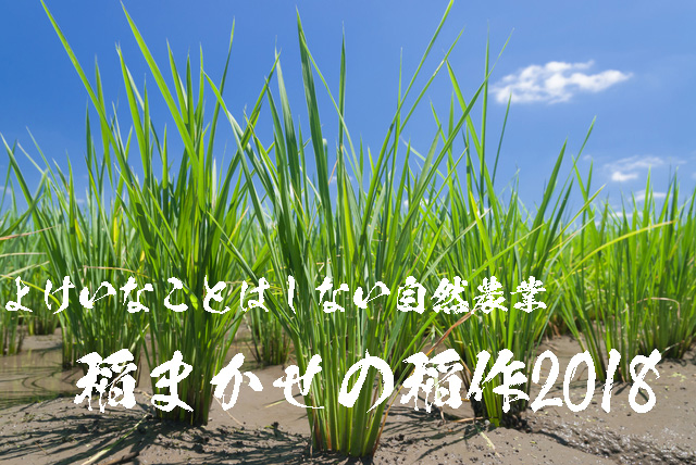2018年の奈良発の限りなく無農薬なへの字農法によるヒノヒカリ稲作日記