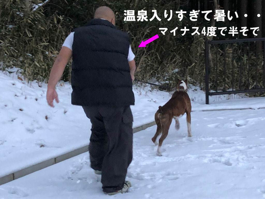 サスケと雪山と温泉