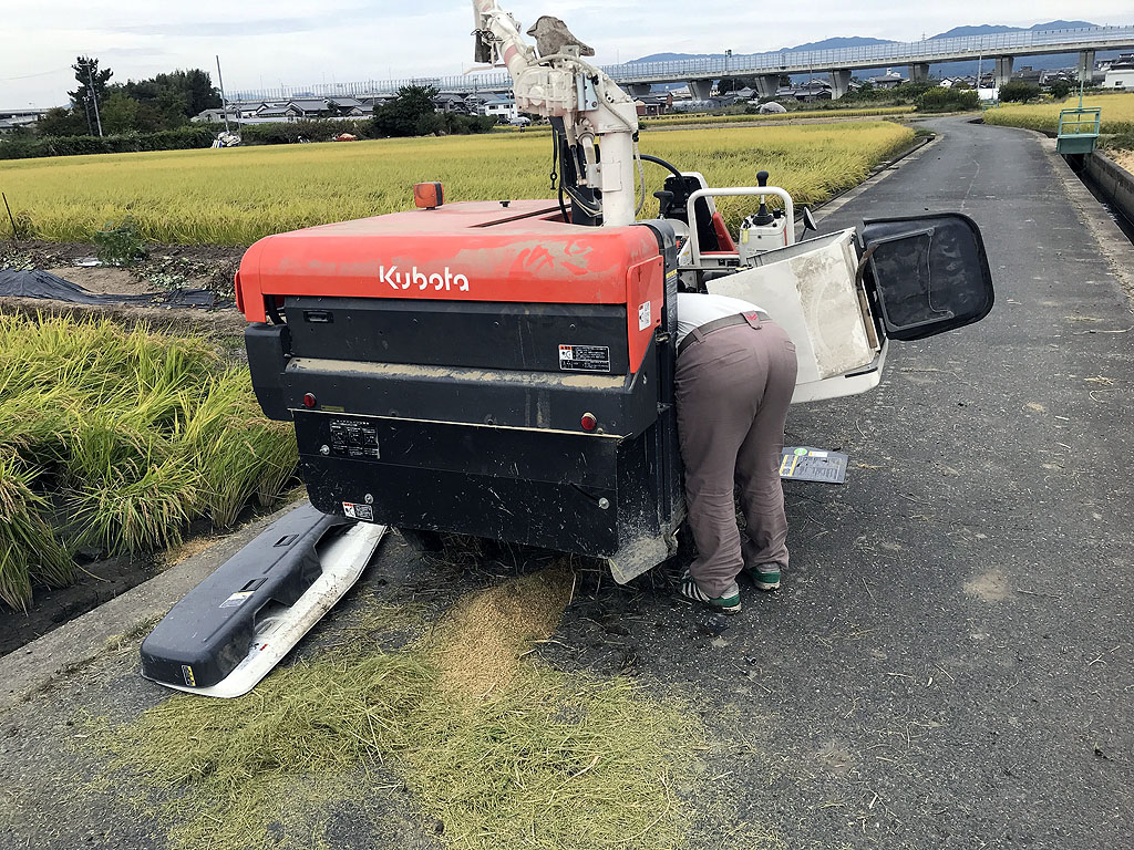 平成30年の稲刈り・収穫