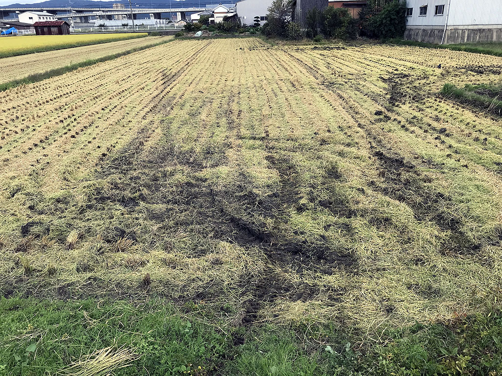 平成30年の稲刈り・収穫