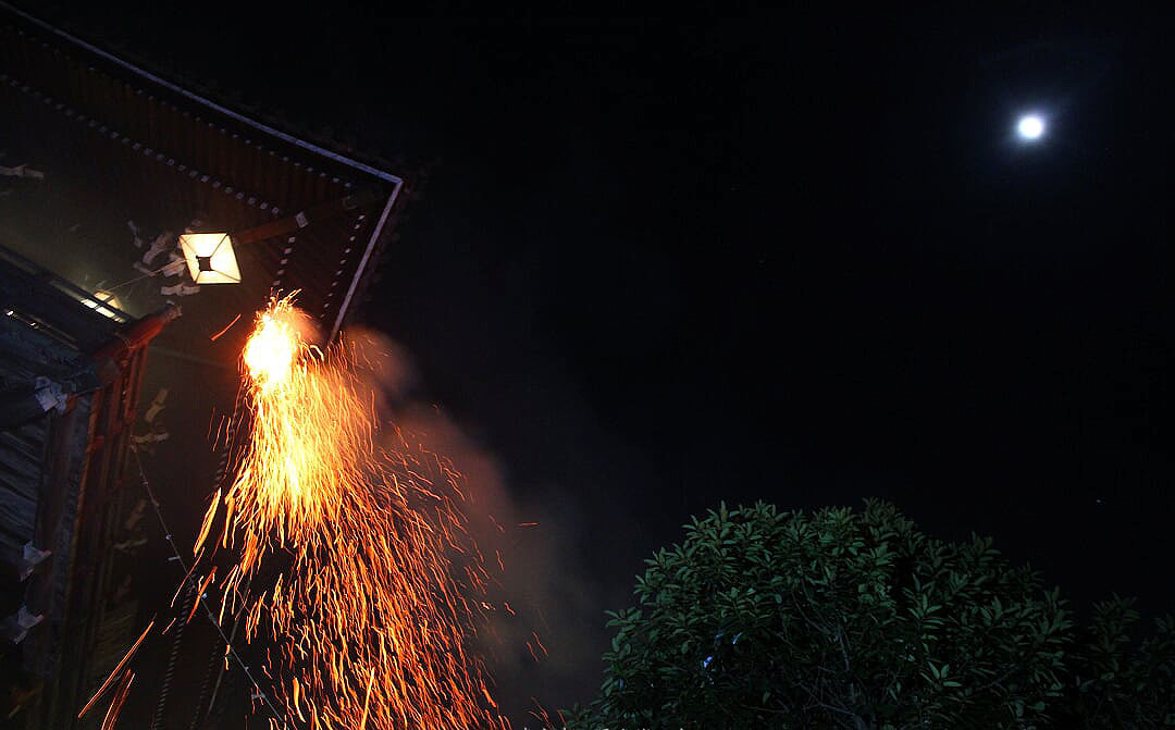 2019年 今年も奈良に平成最後の春が来る