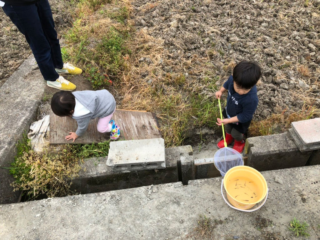 令和元年の苗づくり