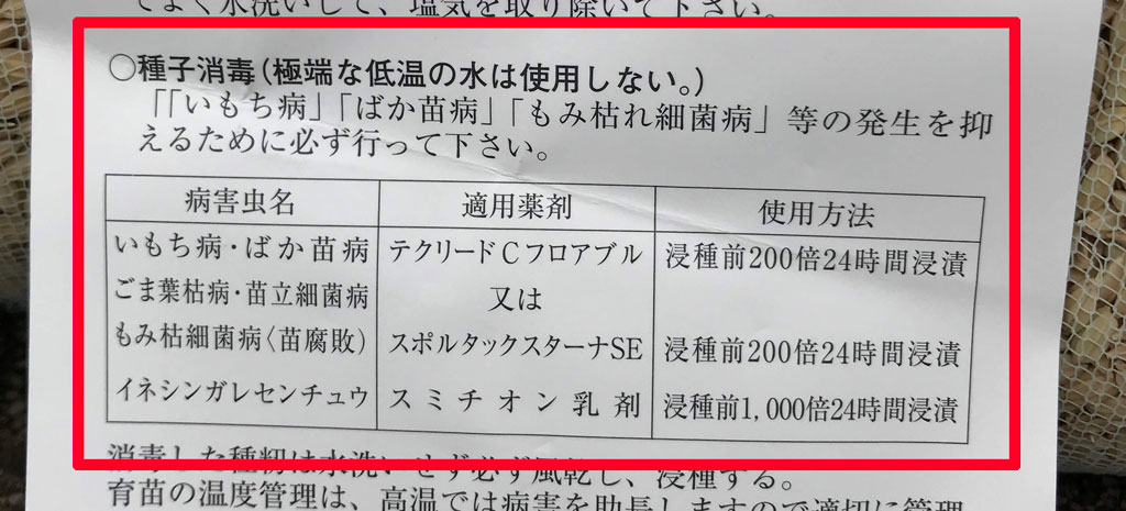 令和元年の苗づくり