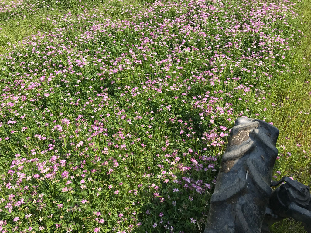 田んぼの春耕起