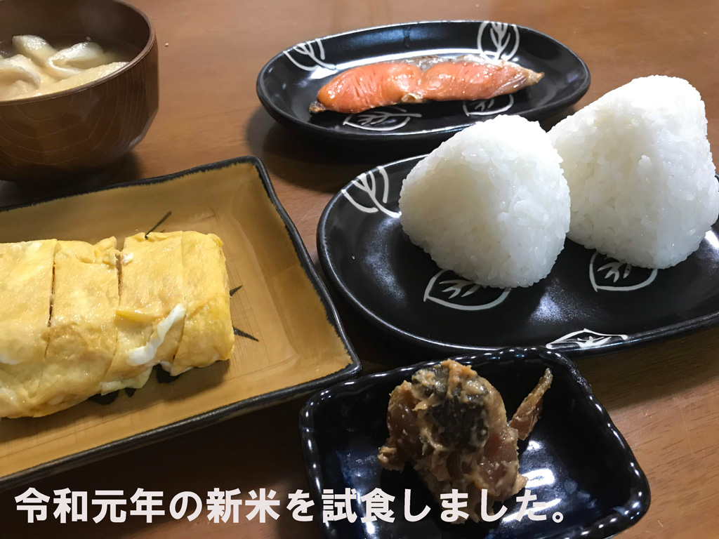 令和元年の新米を実食(試食)