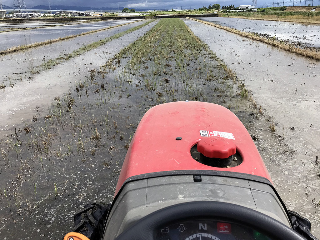 代かき 馬鍬1回目