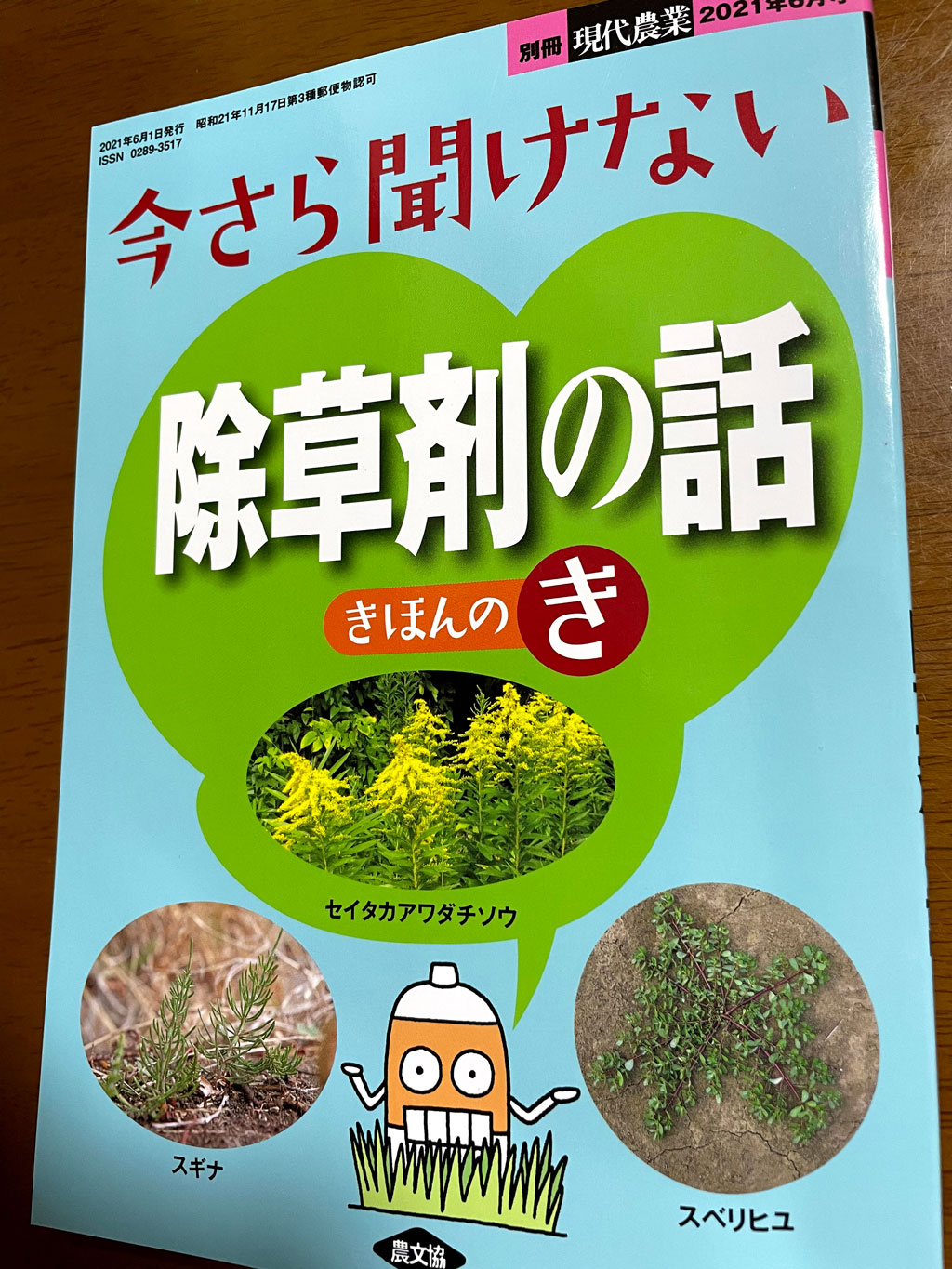 お酢の除草剤を自分でつくる