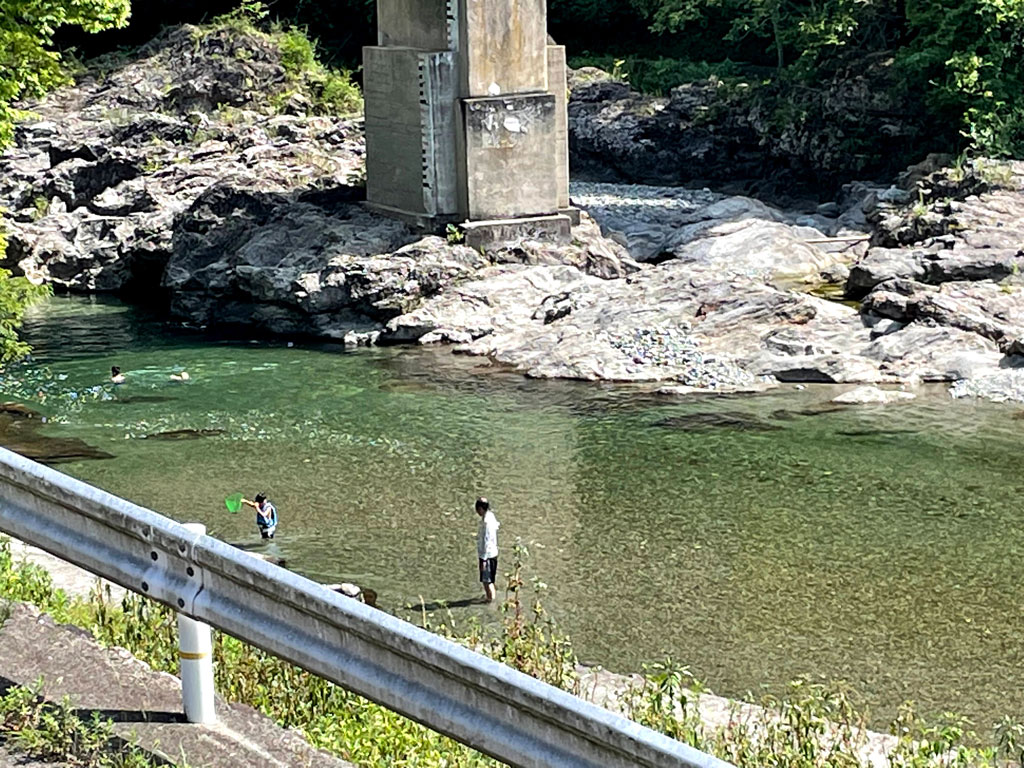 高見川で水遊び | ワンコと吉野町へ