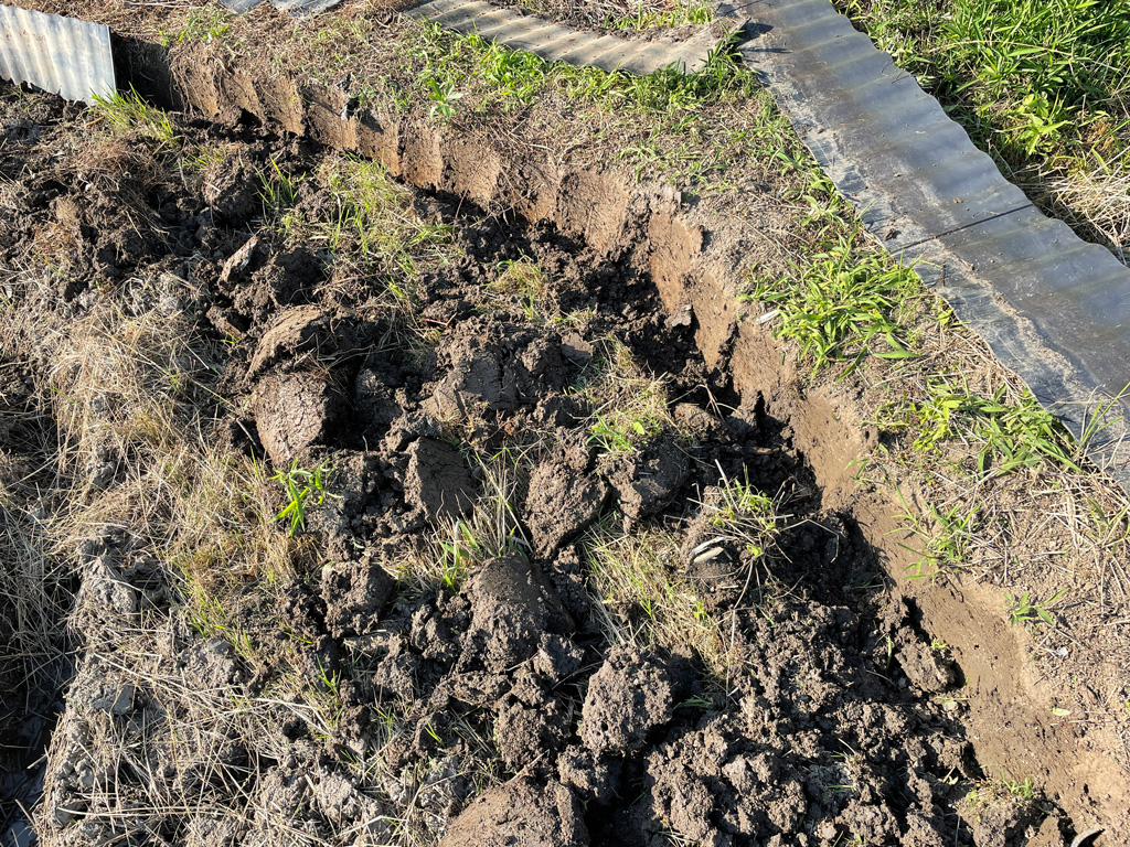 田んぼの水漏れ対策、畦の強化