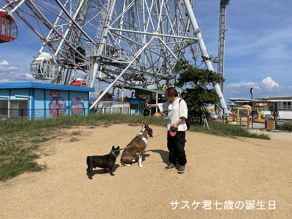 サスケ君七歳の誕生日と淡路島旅行