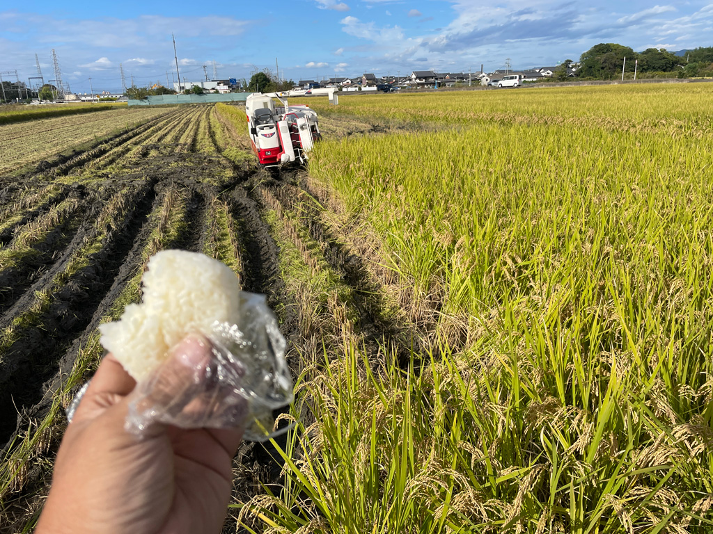 令和4年の稲刈りと収穫作業