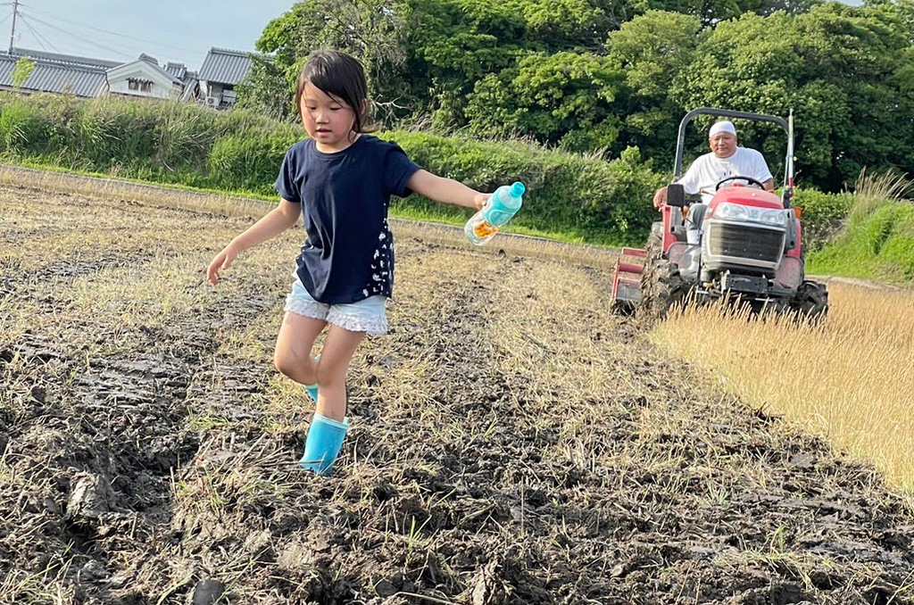 田んぼの春耕起