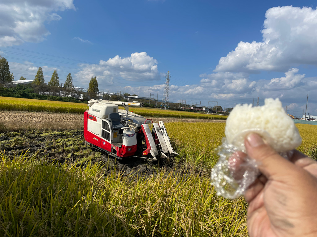 ぬかるんだ田んぼの稲刈り