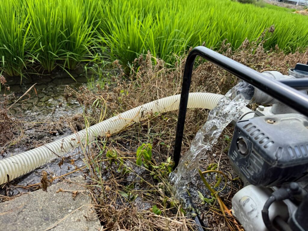 エンジンポンプで冷たい地下水を汲み上げ。時間はかかるけれどガソリン補給をしながら気長に水入れをします。