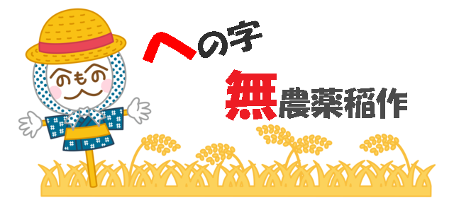 奈良で無農薬米 西川健次