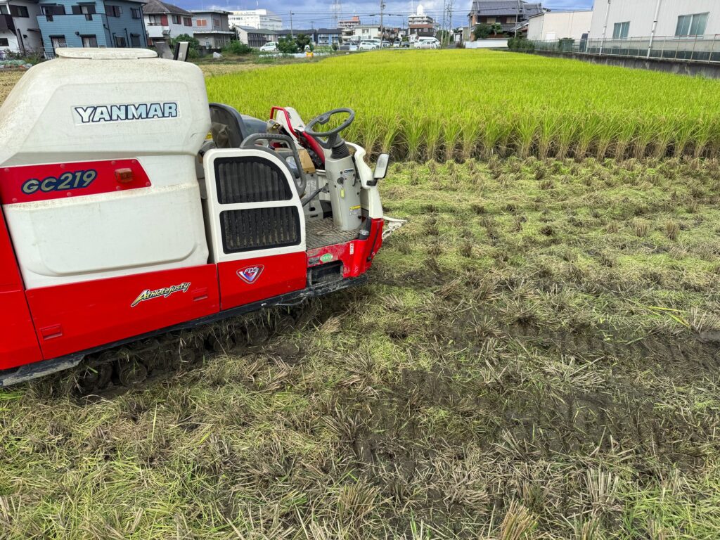 稲刈りとうすひきの繰り返し