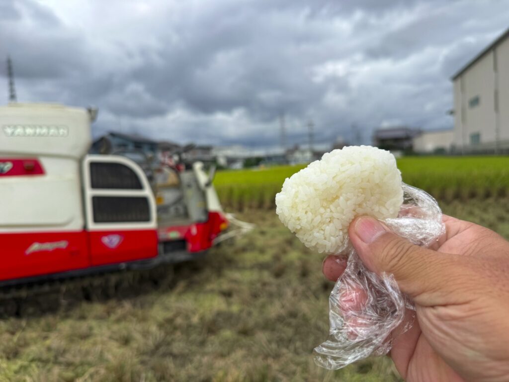 稲刈りとうすひきの繰り返し