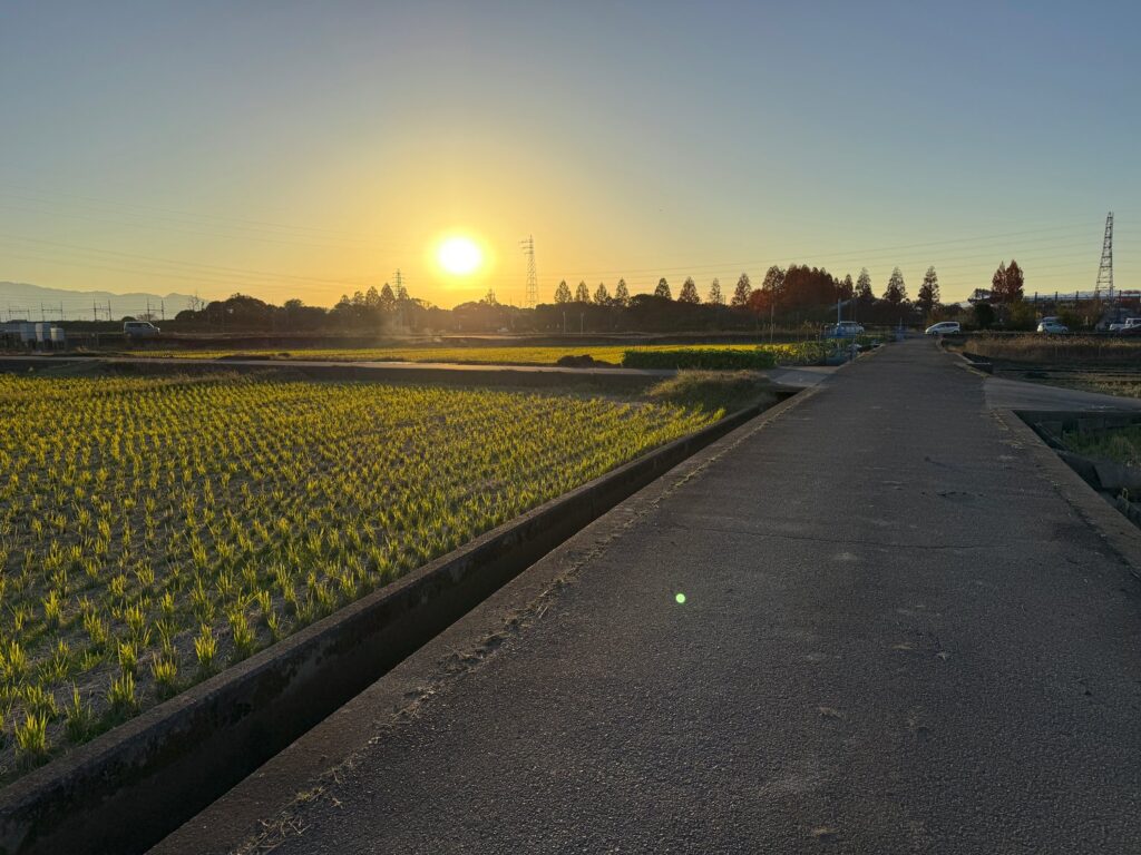 令和7年11月30日、テーラー（運搬機）に一輪車とスコップと飲水を積んで田んぼへ出かけました。まずは荒れた田んぼの修復作業です。