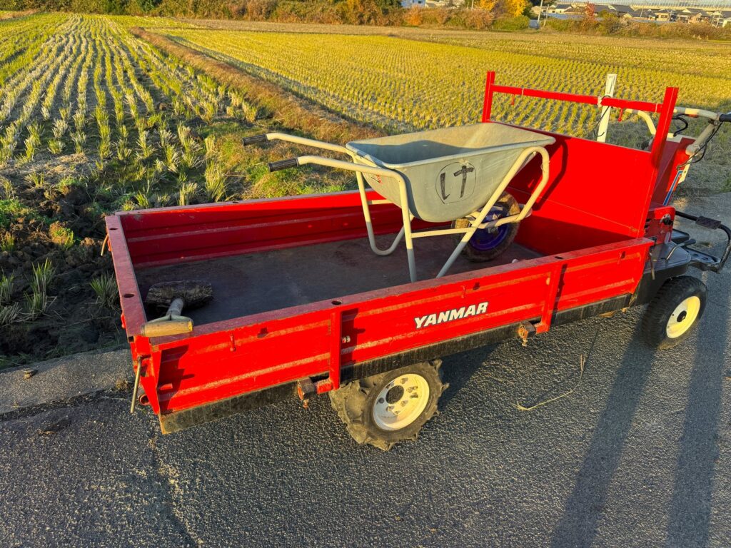 令和7年11月30日、テーラー（運搬機）に一輪車とスコップと飲水を積んで田んぼへ出かけました。まずは荒れた田んぼの修復作業です。