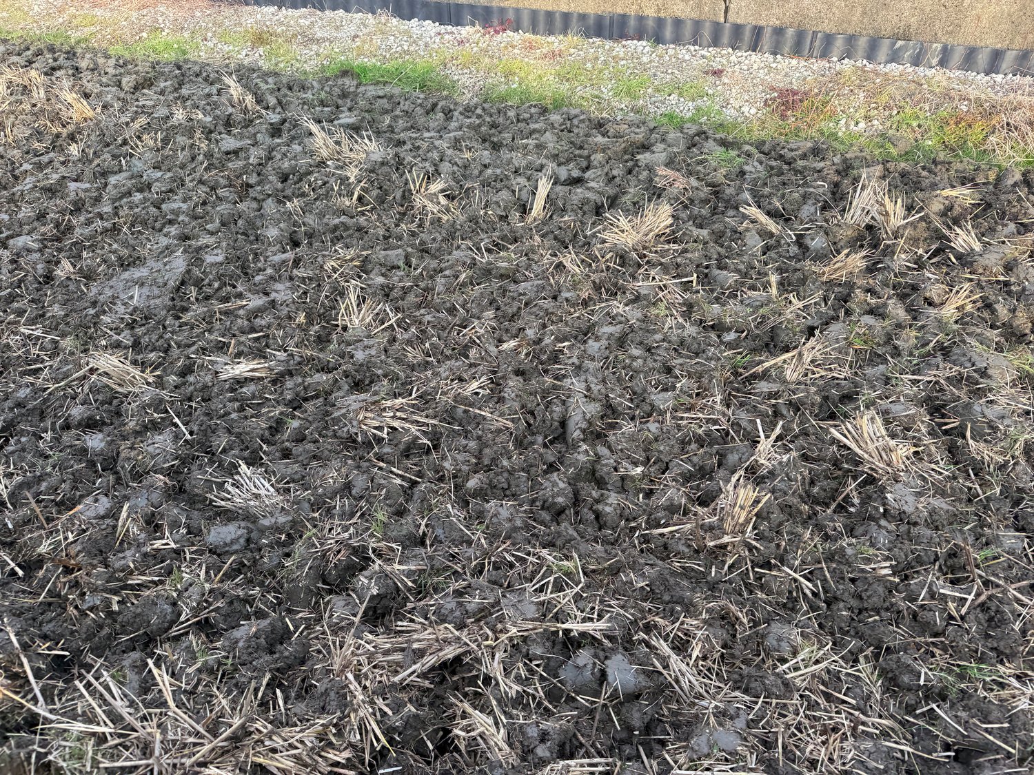 土を細かくしない