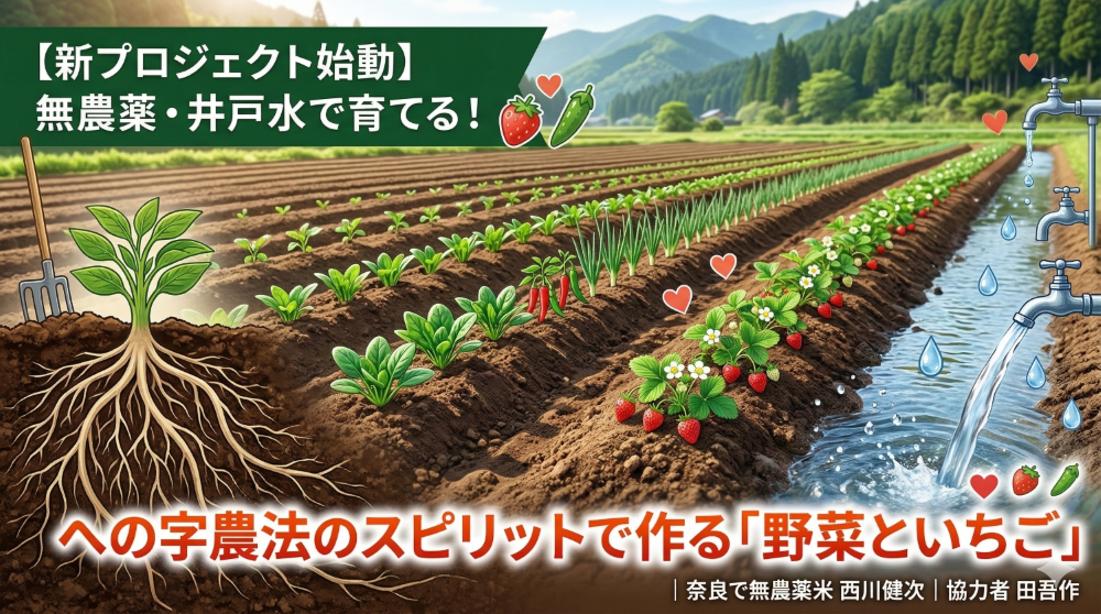 新プロジェクト始動！奈良の豊かな自然を背景に、井戸水とへの字農法で育てる無農薬野菜と5種類のいちご畑を描いたイメージ画像。力強く張った根っことミネラル豊富な井戸水が描かれています。